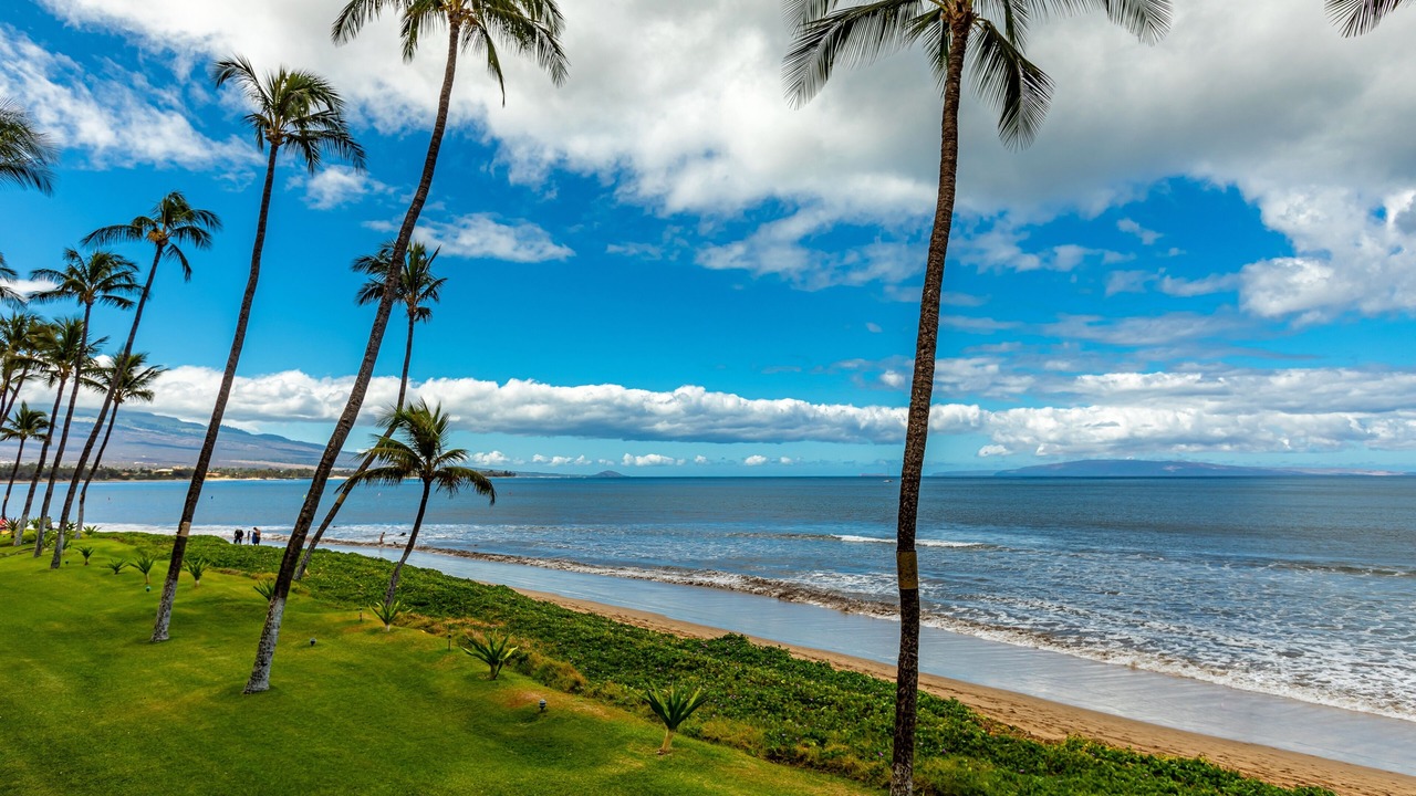 Photo of Others in Kihei