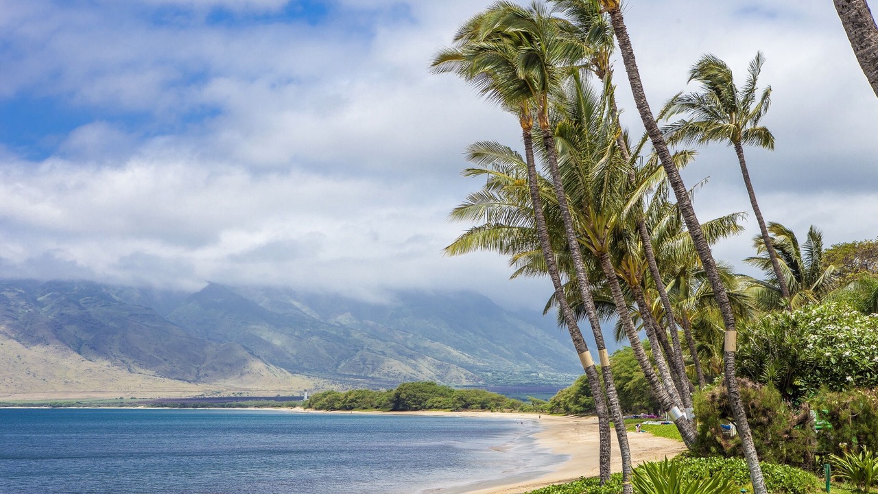 Photo of Others in Kihei