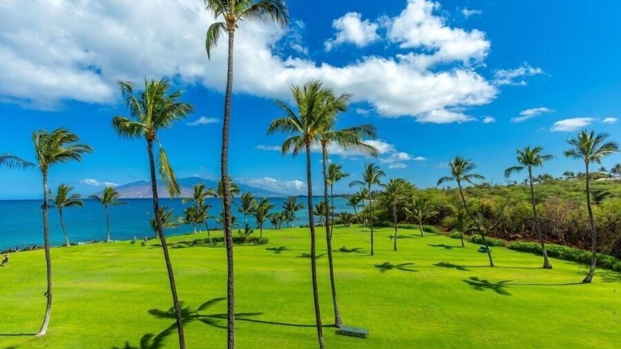 Photo of Others in Kihei