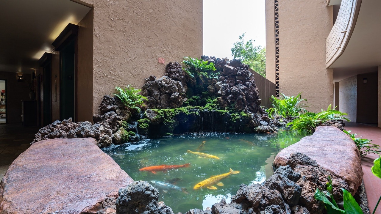 Photo of Others in Maalaea