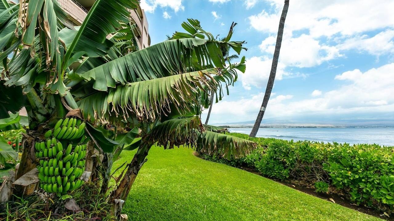 Photo of Outdoor in Maalaea