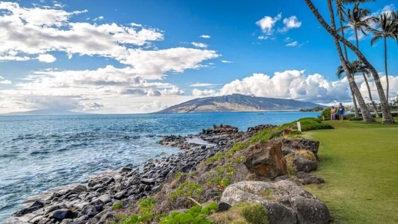 Photo of Others in Kihei