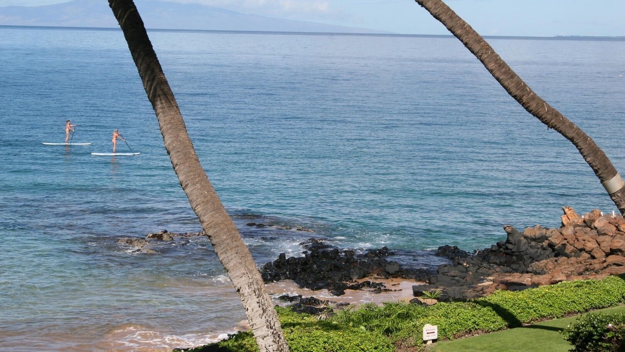 Photo of Others in Kihei