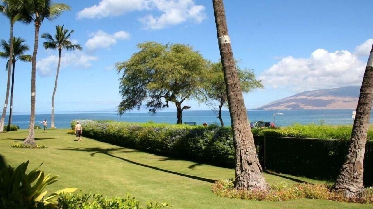 Photo of Others in Kihei