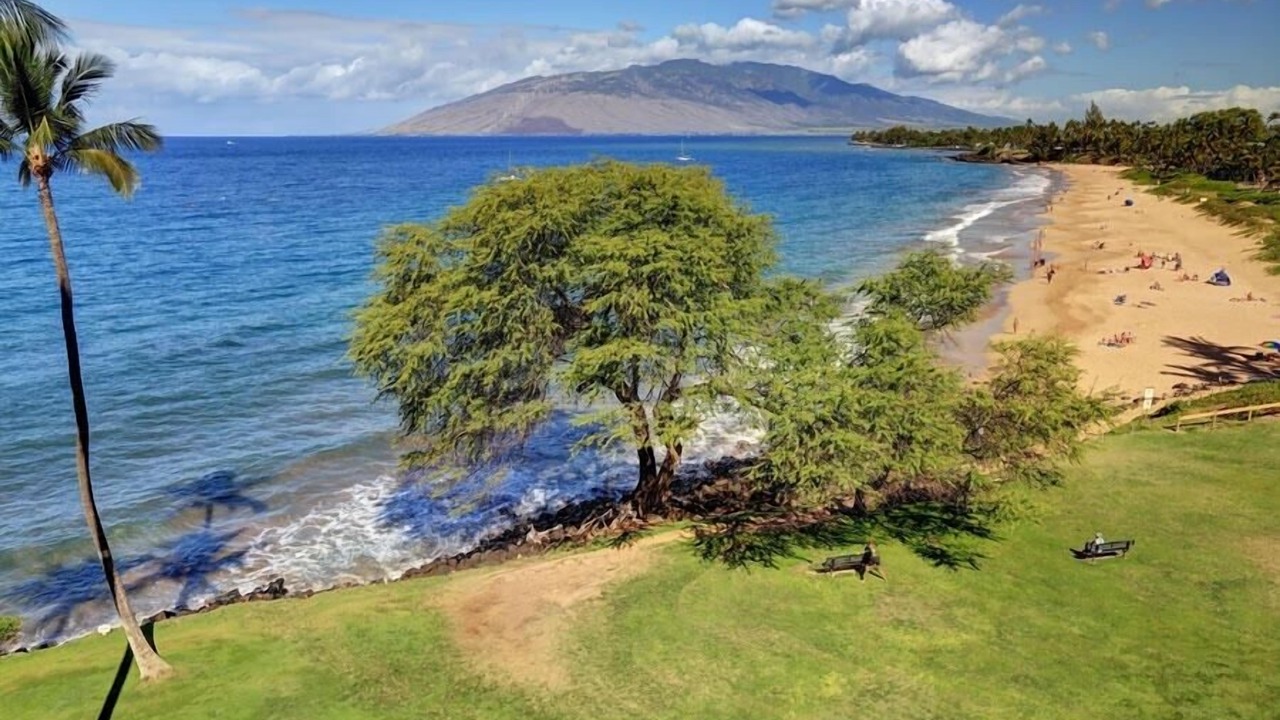 Photo of Others in Kihei