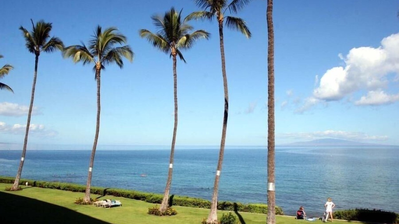 Photo of Others in Kihei