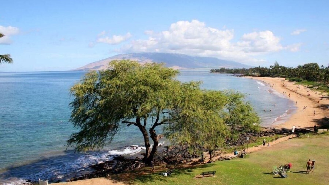 Photo of Others in Kihei