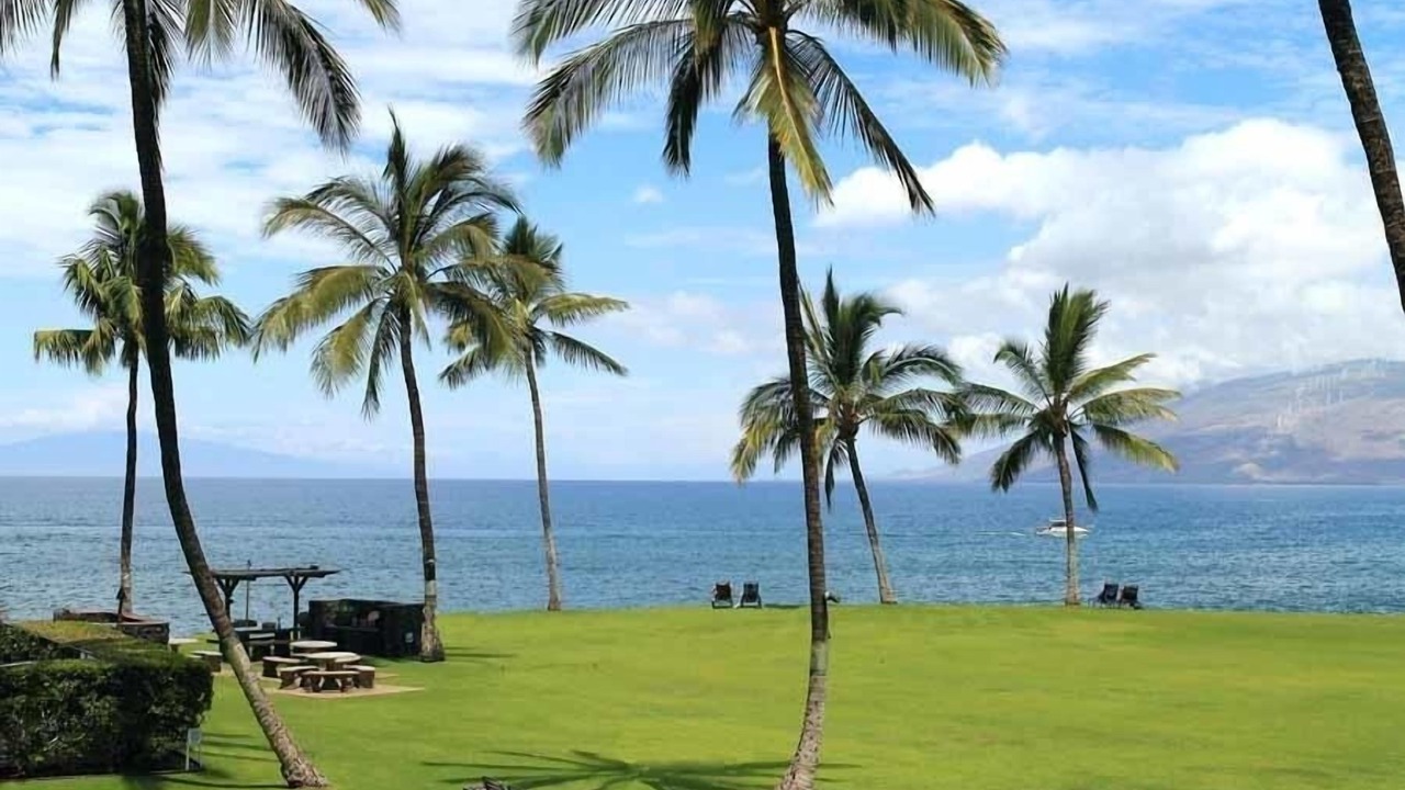 Photo of Others in Kihei