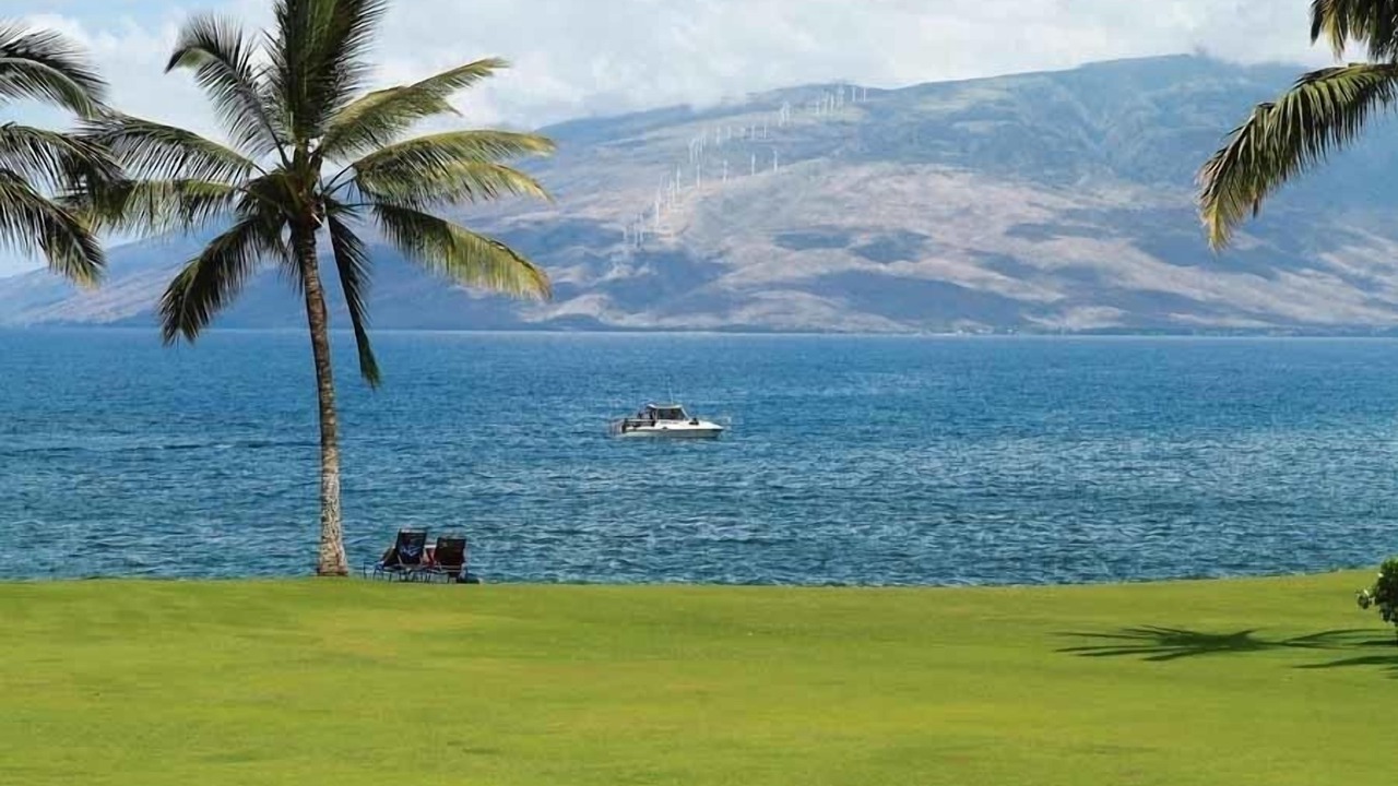Photo of Others in Kihei