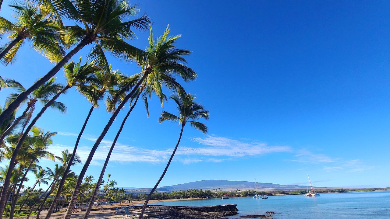 Photo of Others in Waikoloa