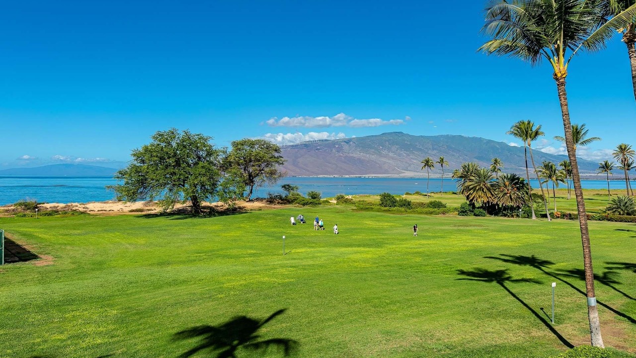 Photo of Others in Kihei
