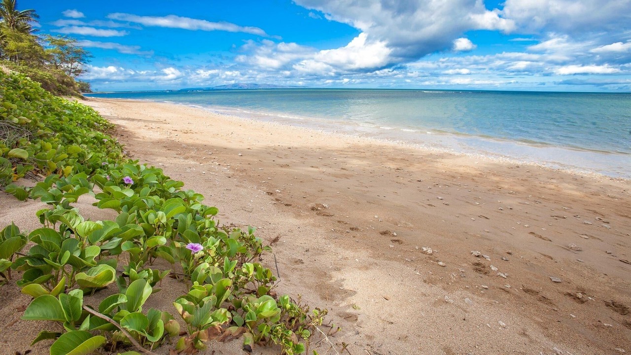 Photo of Others in Kihei