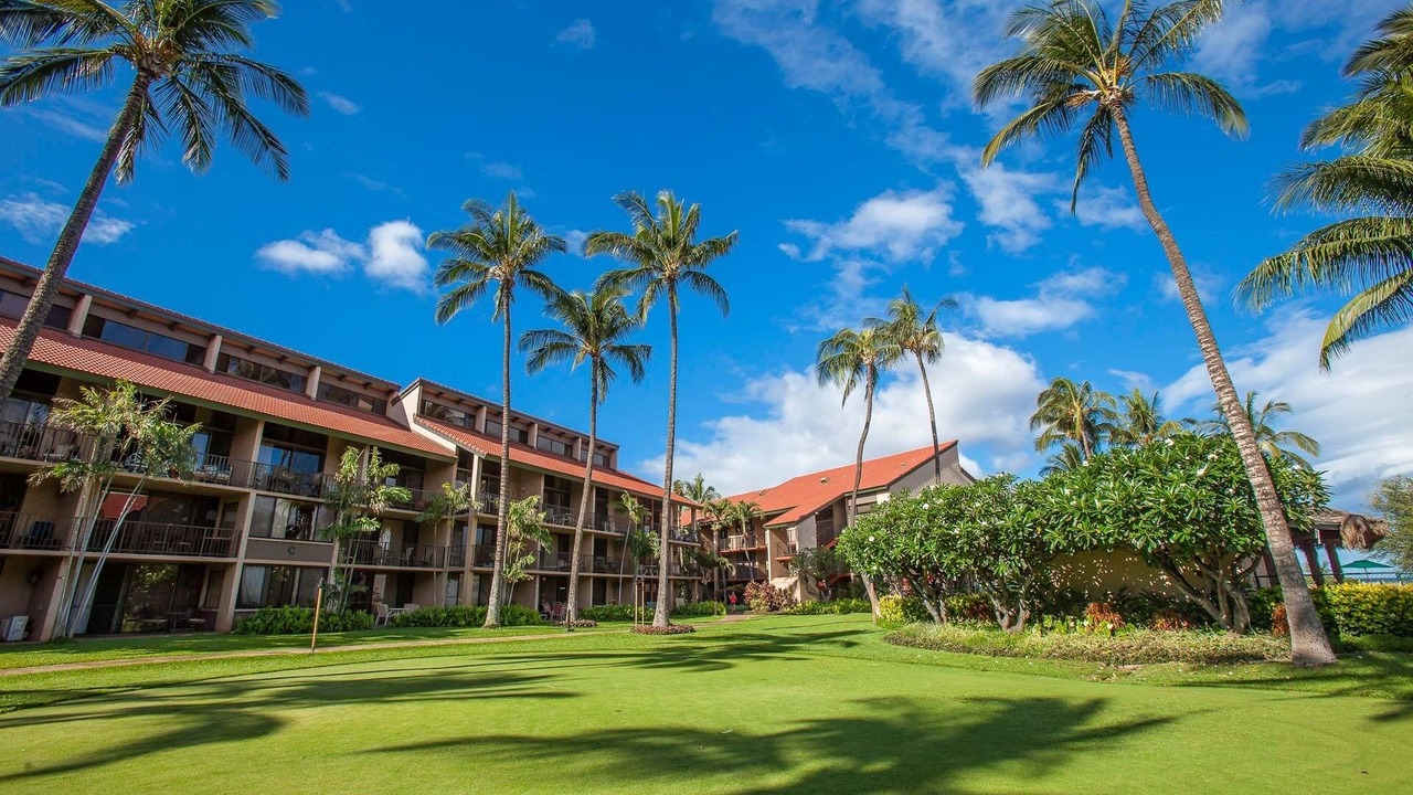 Photo of Outdoor in Kihei