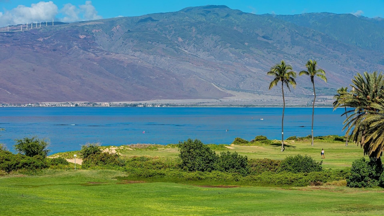 Photo of Others in Kihei