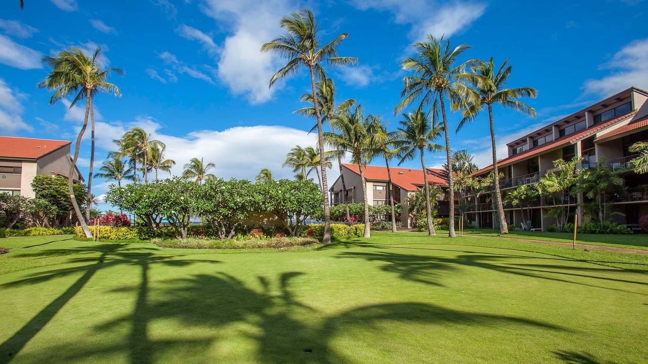 Photo of Others in Kihei