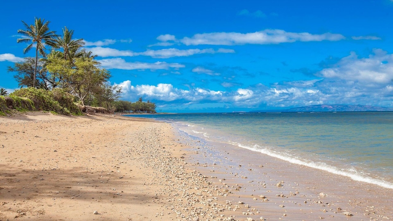 Photo of Others in Kihei