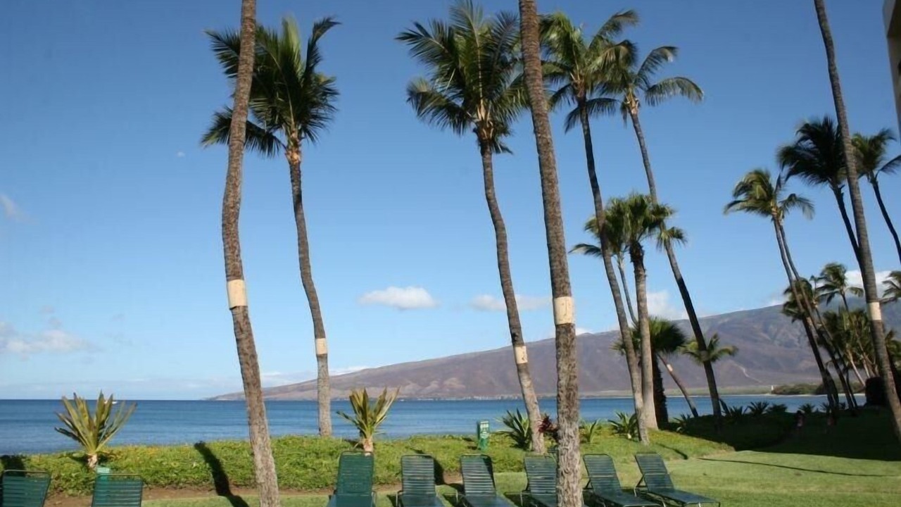 Photo of Others in Kihei