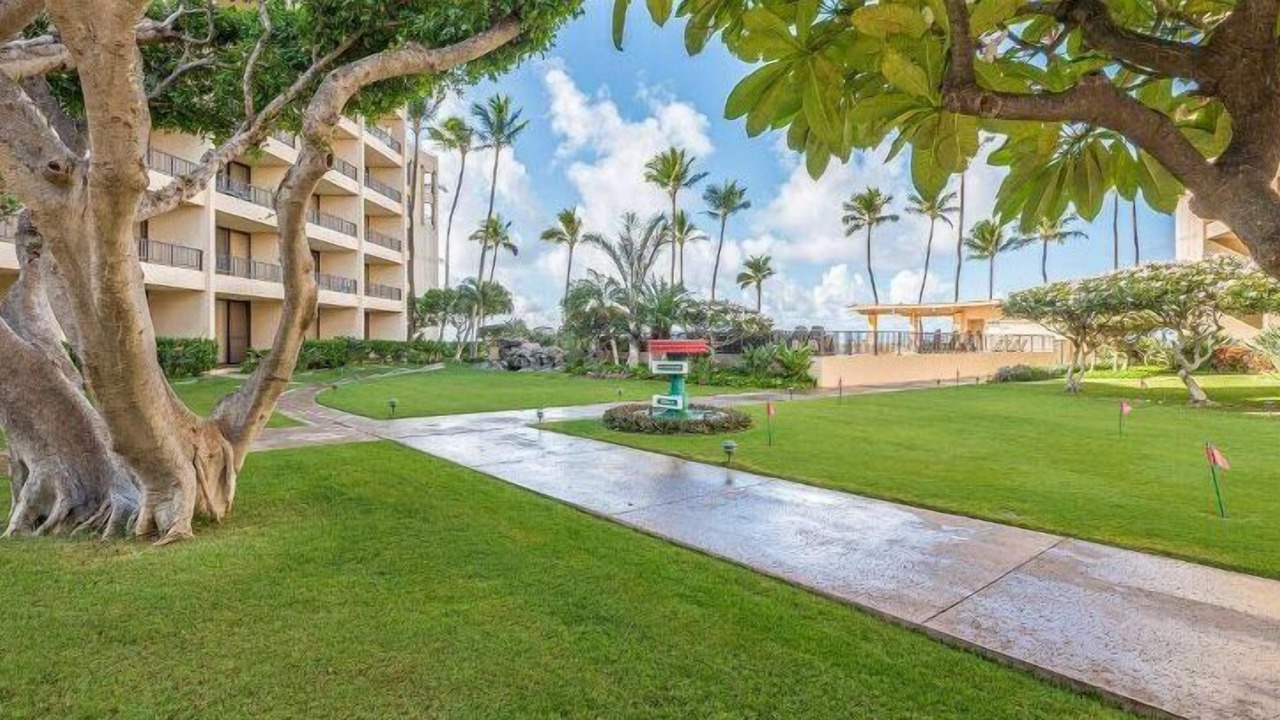 Photo of Others in Kihei