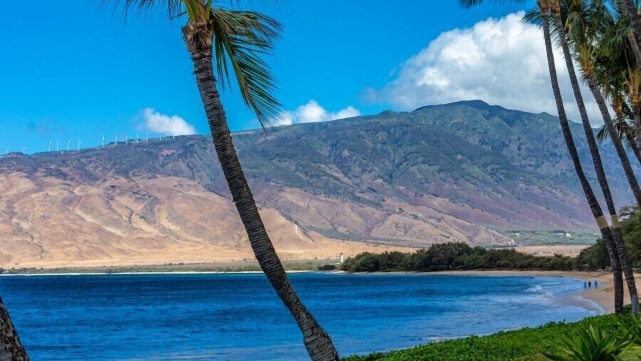 Photo of Others in Kihei