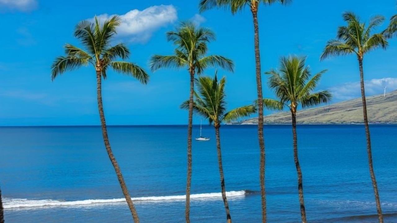 Photo of Others in Kihei