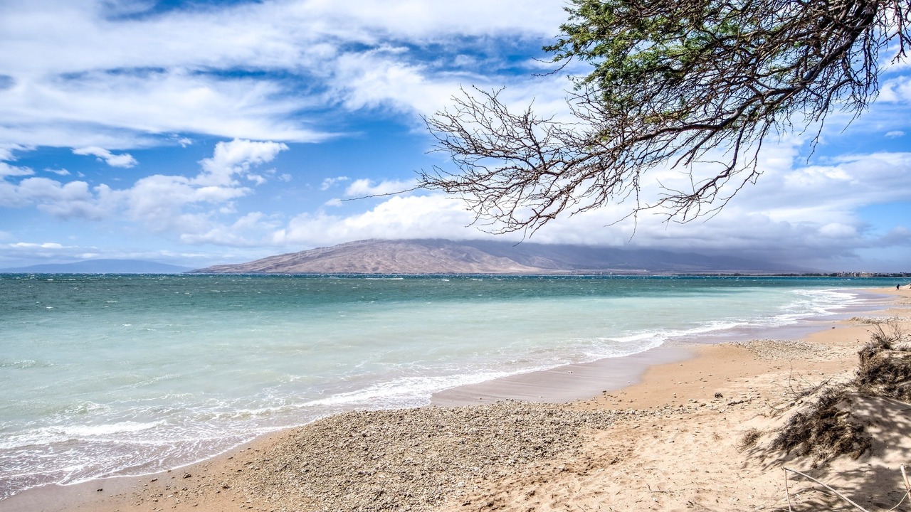 Photo of Others in Kihei
