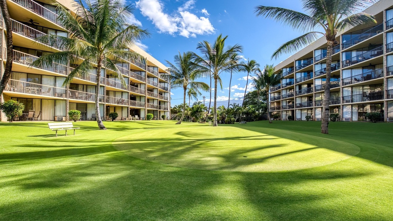 Photo of Outdoor in Kihei