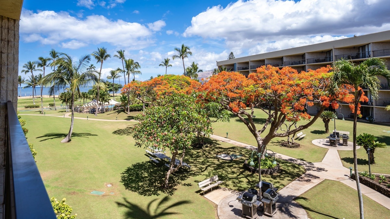 Photo of Others in Kihei