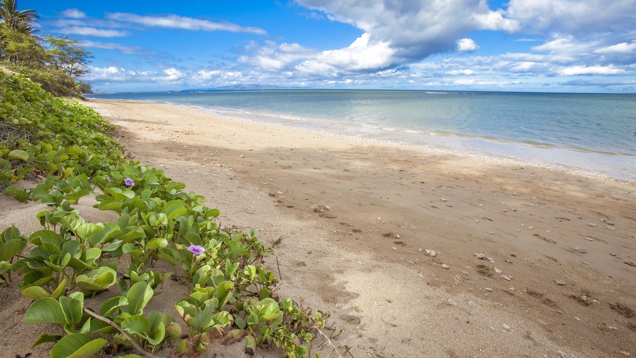 Photo of Others in Kihei