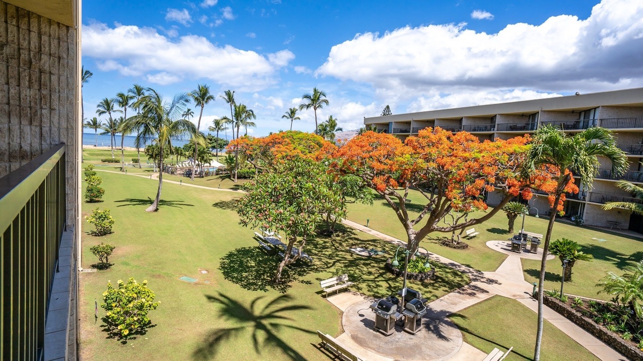 Photo of Others in Kihei