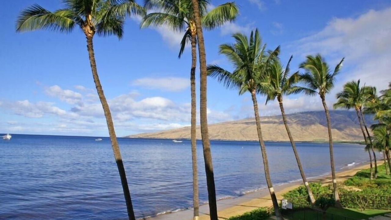 Photo of Others in Kihei