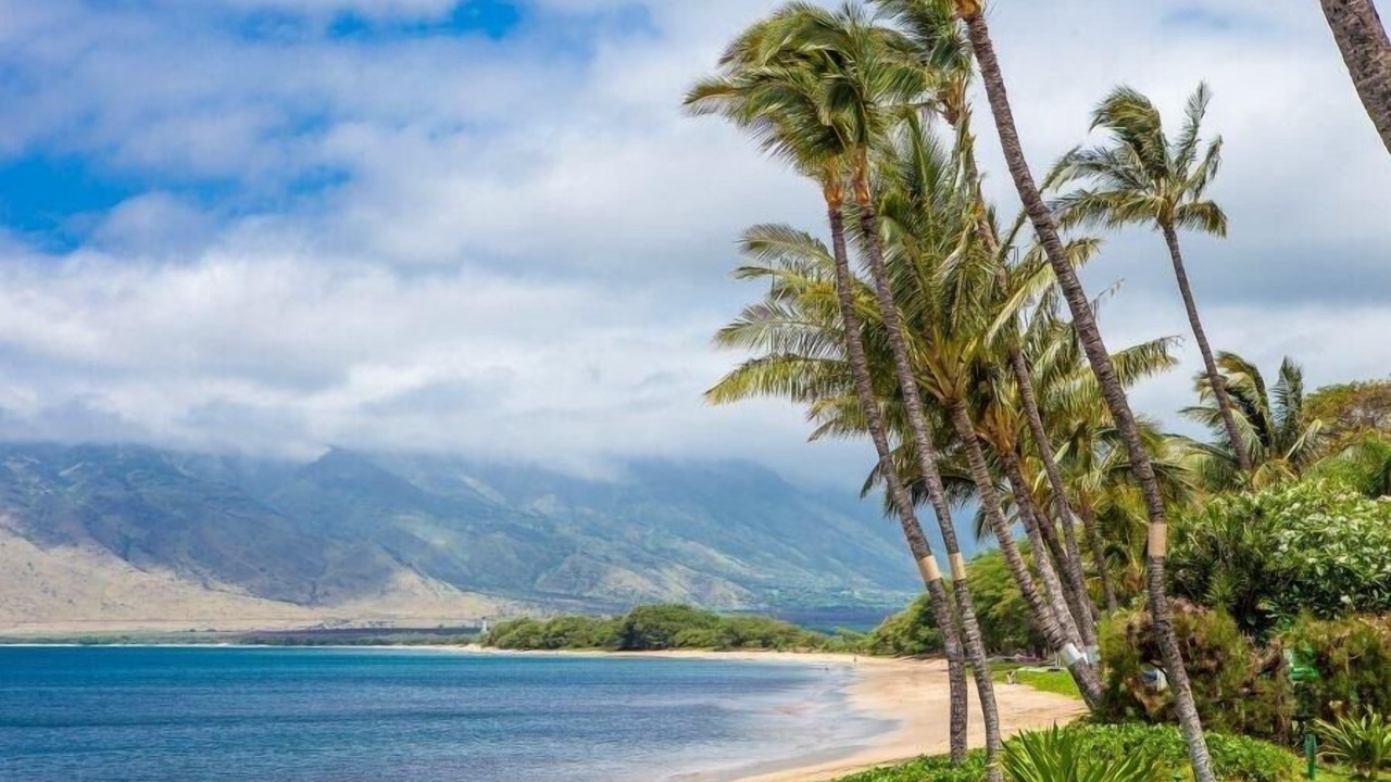 Photo of Others in Kihei