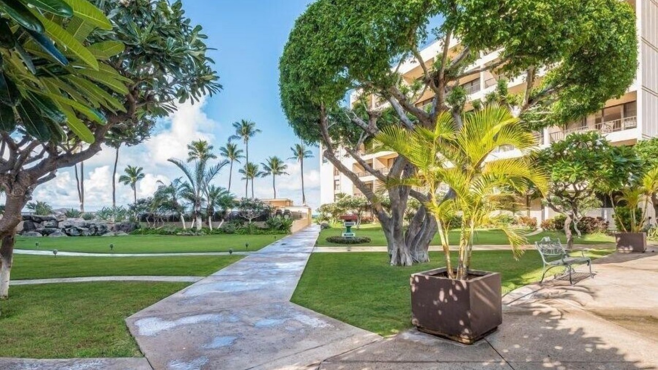Photo of Others in Kihei