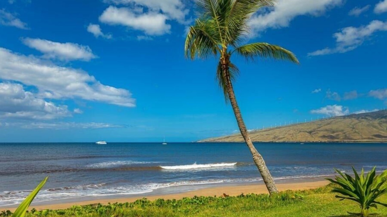 Photo of Others in Kihei