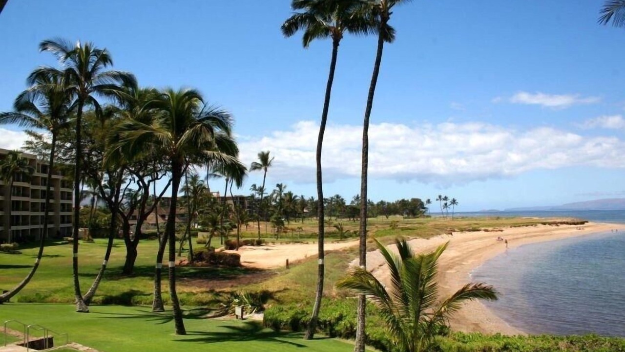 Photo of Others in Kihei
