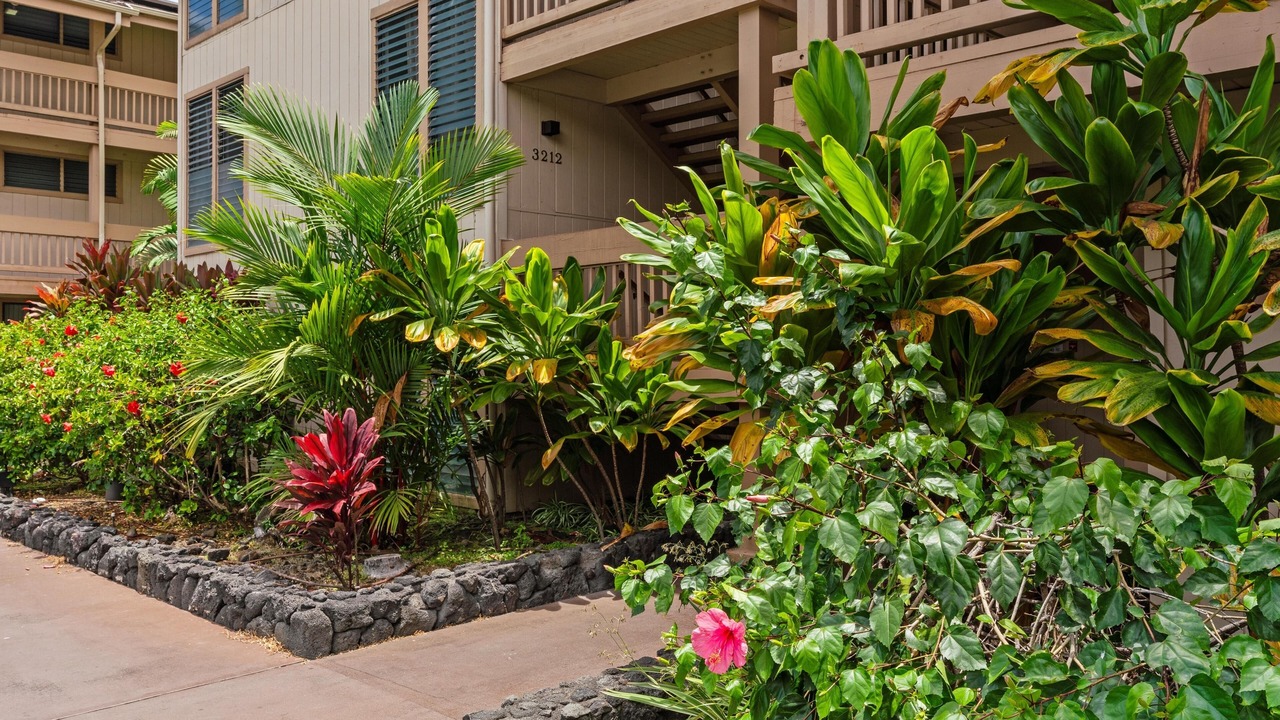 Photo of Others in Kailua-Kona