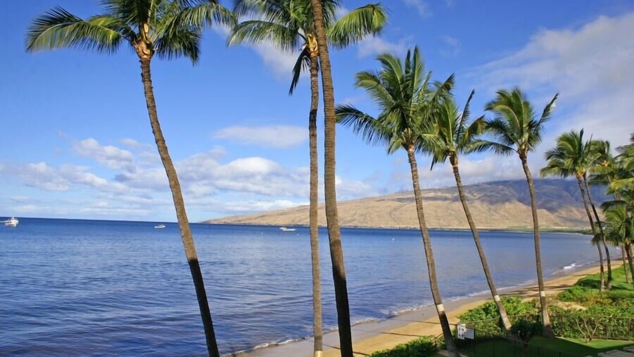 Photo of Others in Kihei