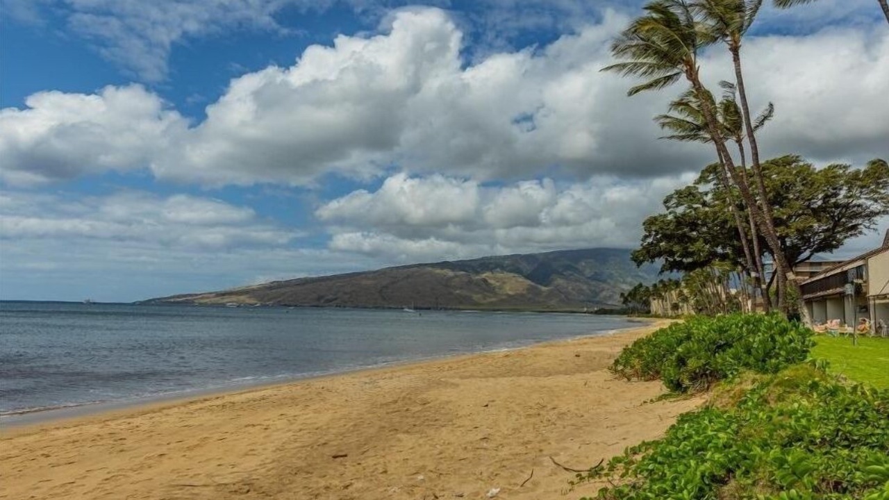 Photo of Others in Kihei