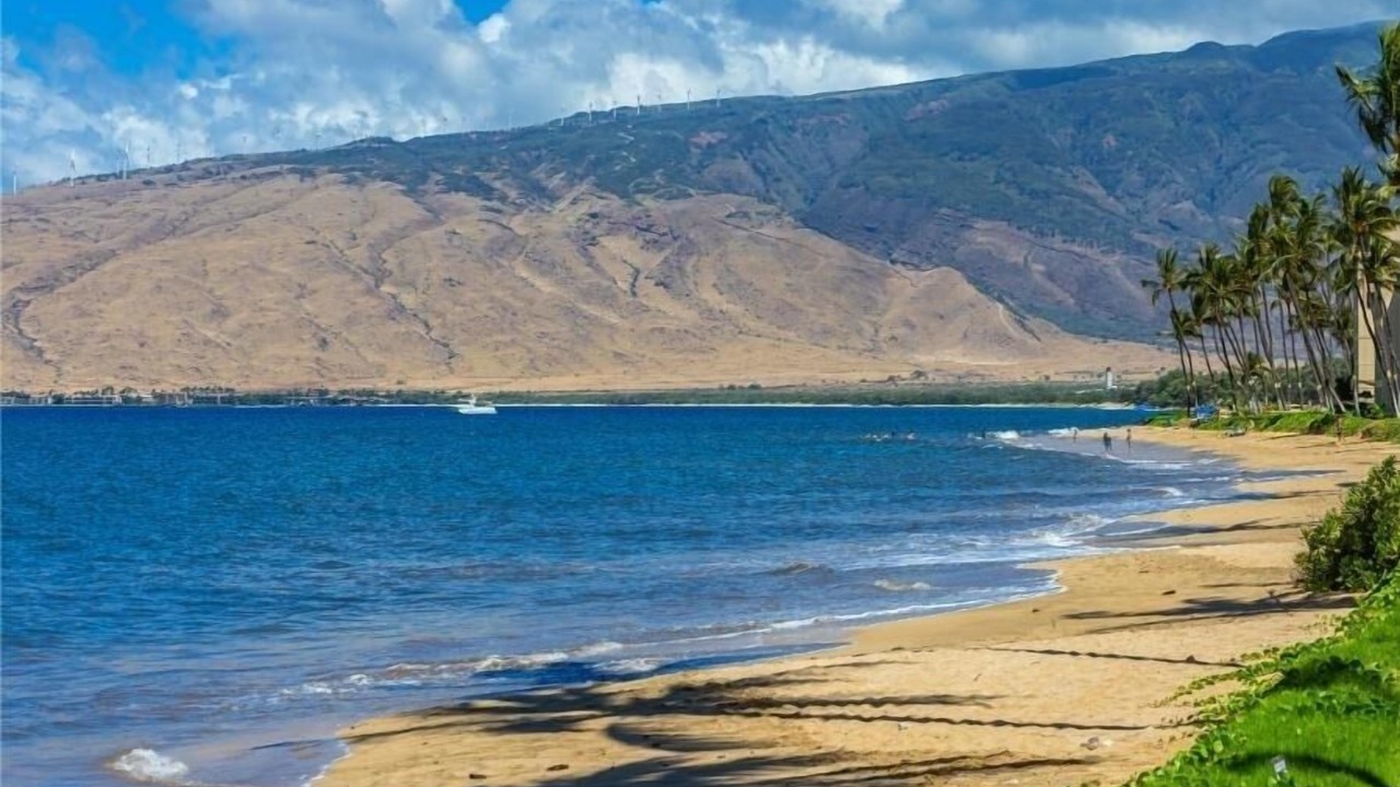 Photo of Others in Kihei
