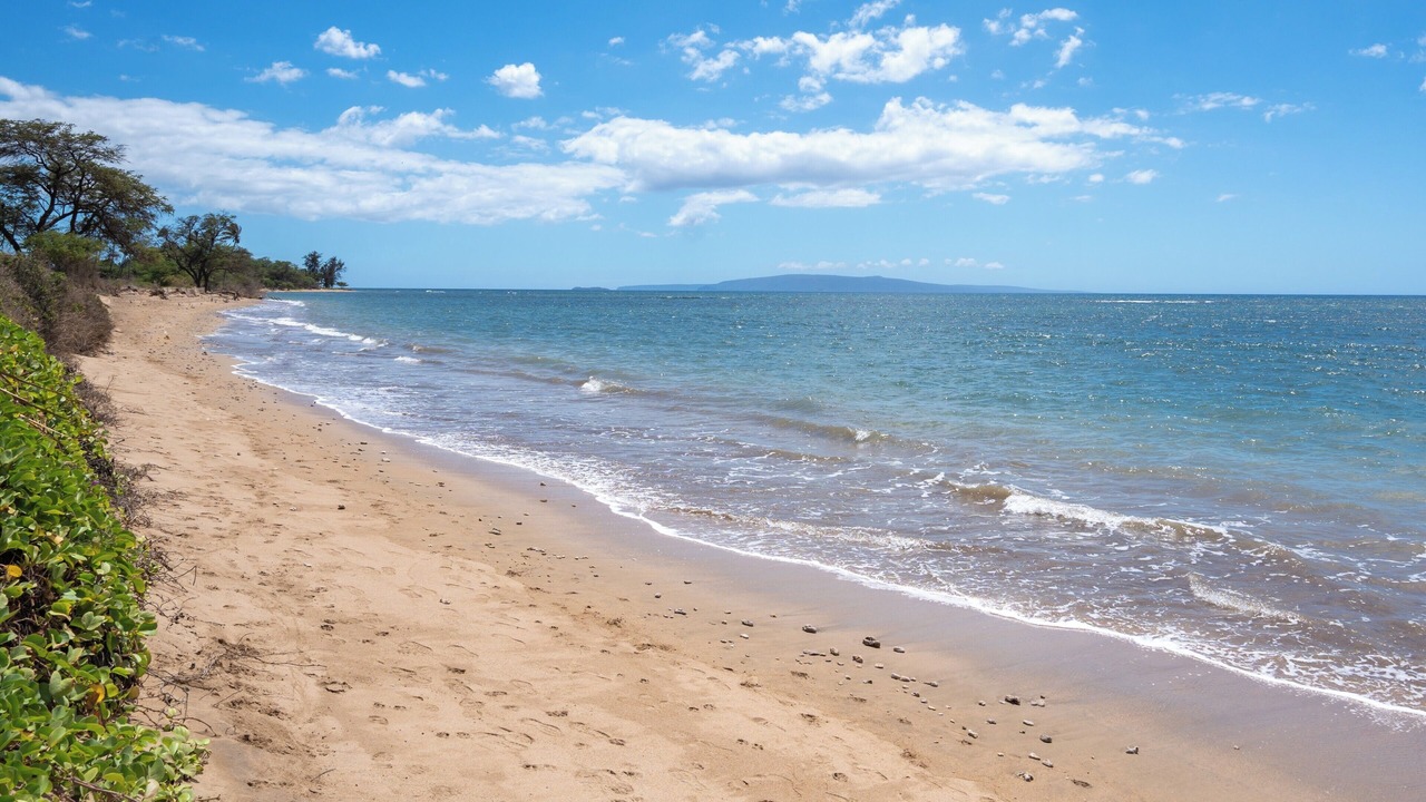 Photo of Others in Kihei