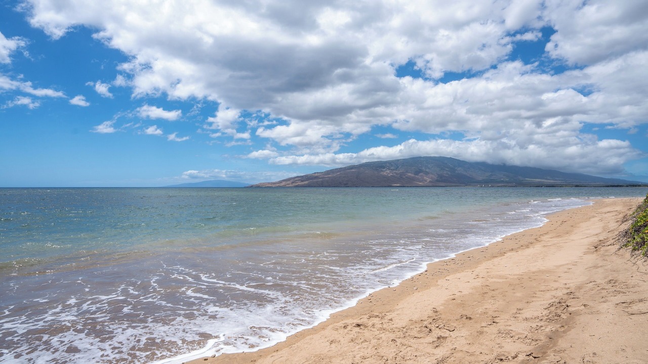 Photo of Others in Kihei
