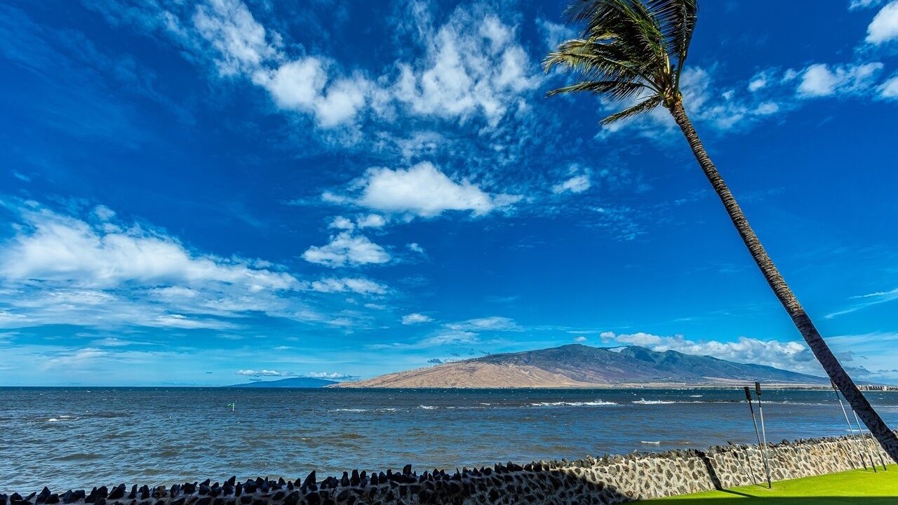 Photo of Others in Kihei