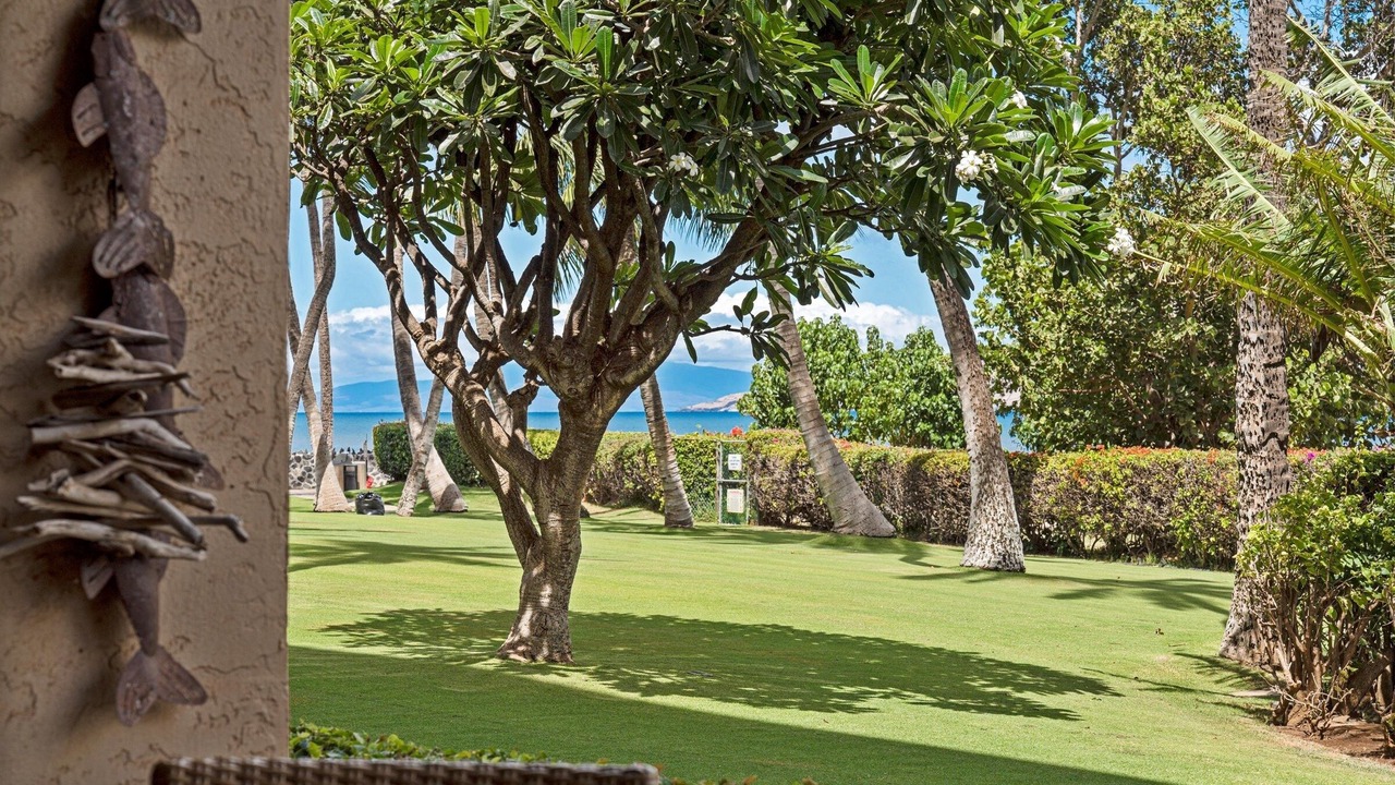 Photo of Others in Kihei