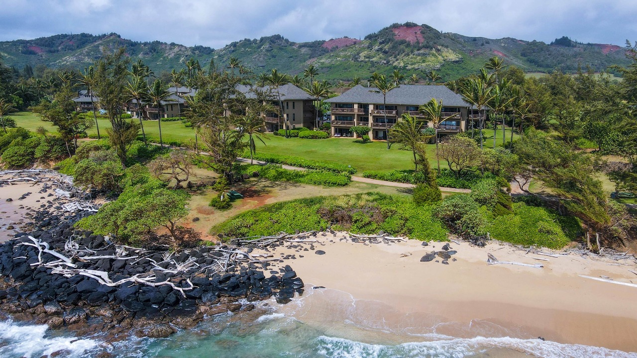 Photo of Others in Lihue