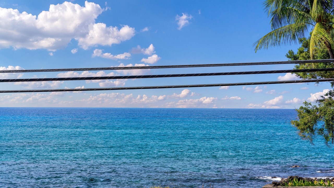 Photo of Others in Kailua-Kona
