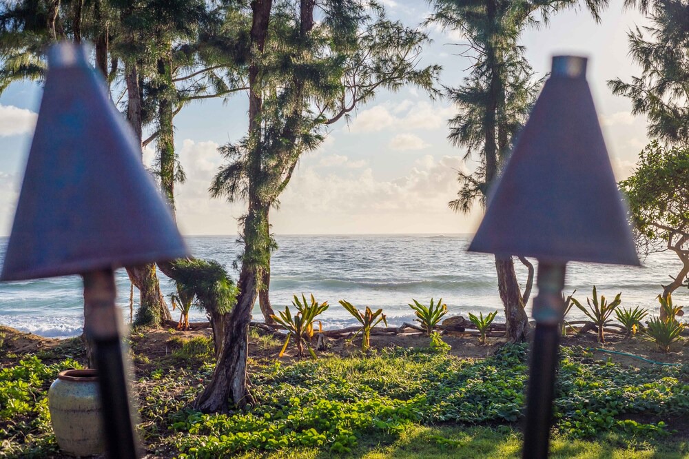 Photo of Outdoor in Laie