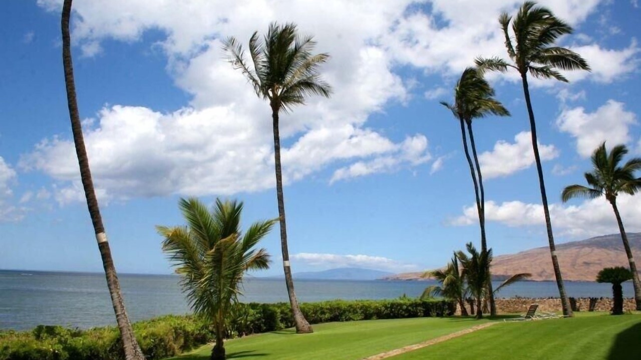 Photo of Others in Kihei