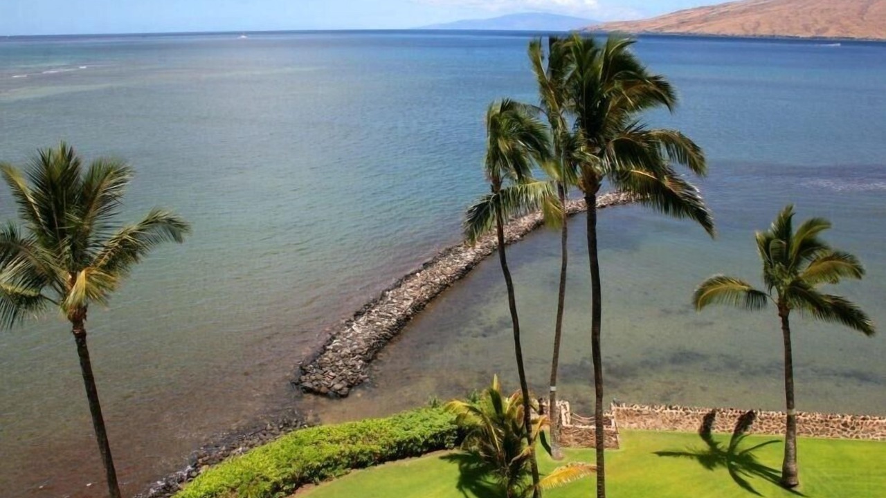 Photo of Others in Kihei