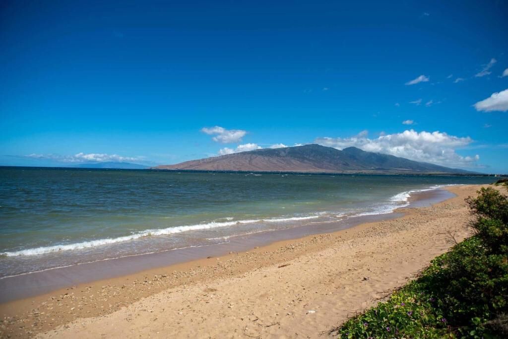 Photo of Others in Kihei