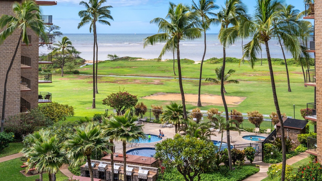 Photo of Outdoor in Kihei