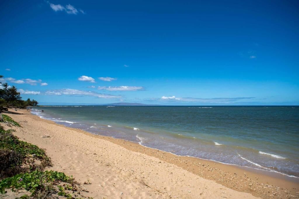 Photo of Others in Kihei